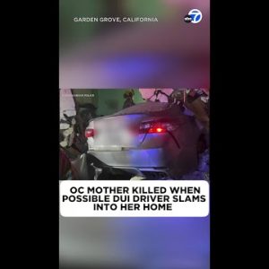 OC mother killed when you would possibly as well imagine DUI driver slams into her home